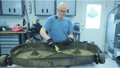 Good Vibrations® | Outdoor Power Equipment Upgrades™ The Best Tools For Keeping Your Mower Clean