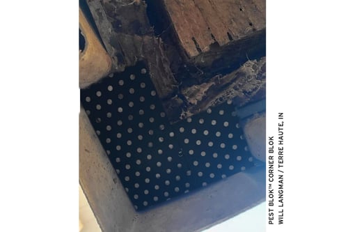 CornerBlok.1.WillLangman