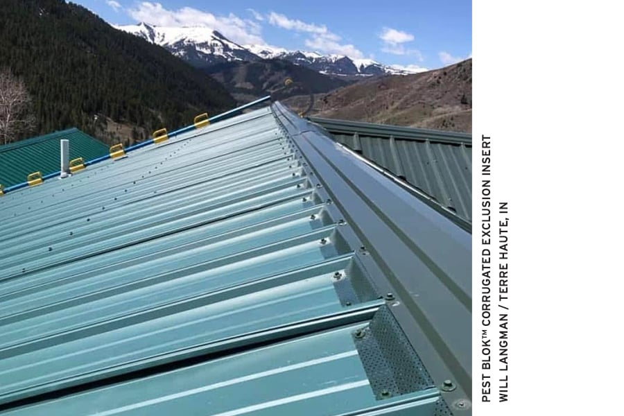 Image of Pest-Blok Corrugated Exclusion Insert installation by Will Langman