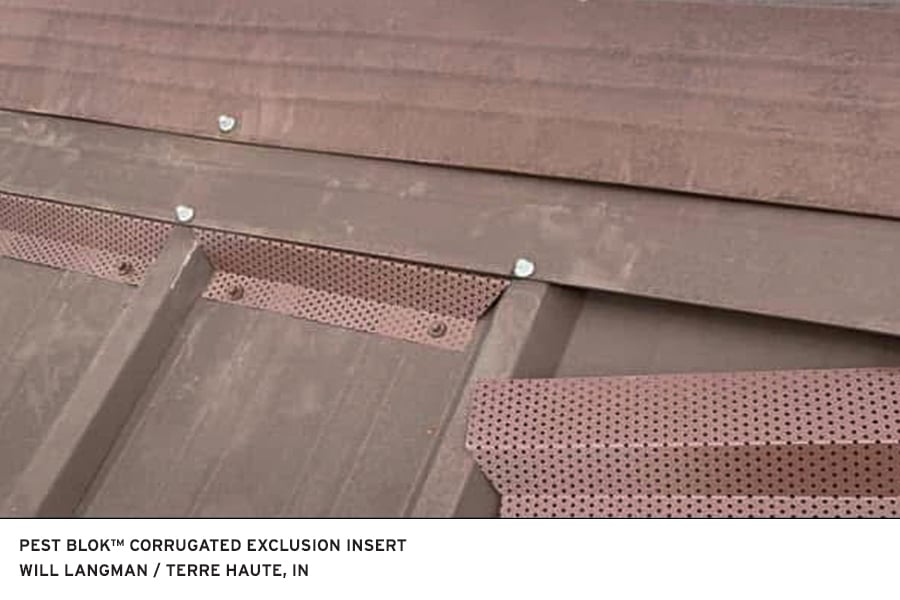 Image of Pest-Blok Corrugated Exclusion Insert installation by Will Langman