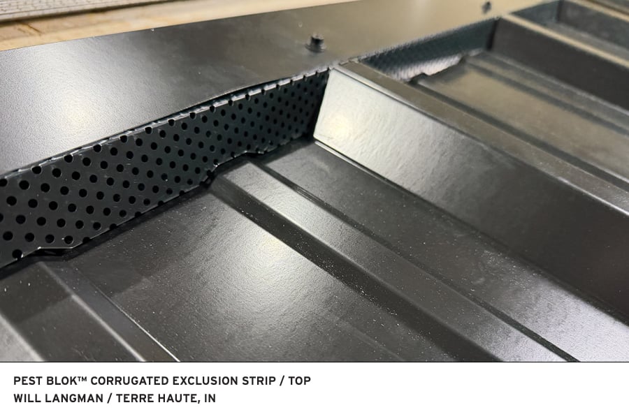Image of Pest-Blok Corrugated Exclusion Strip Top Section installation by Will Langman