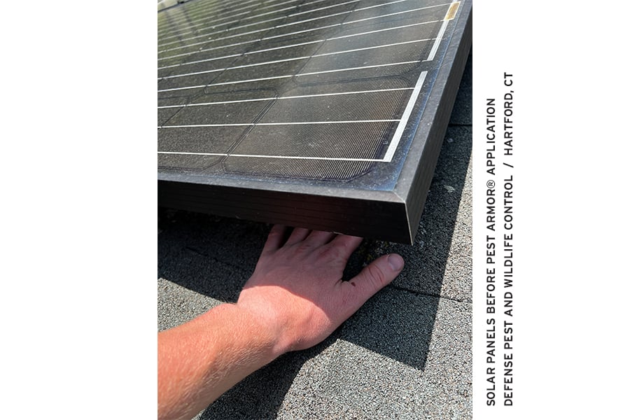 RAML550.Solar.DefensePestWildlife1