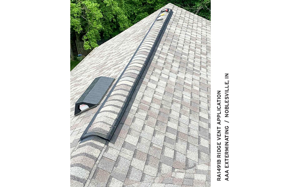RA1491B Ridge Vent Installation Image AAA Exterminating