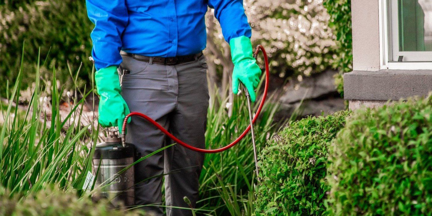 A pest control operator wearing a blue shirt and green gloves spraying pesticides in a home's landscaping