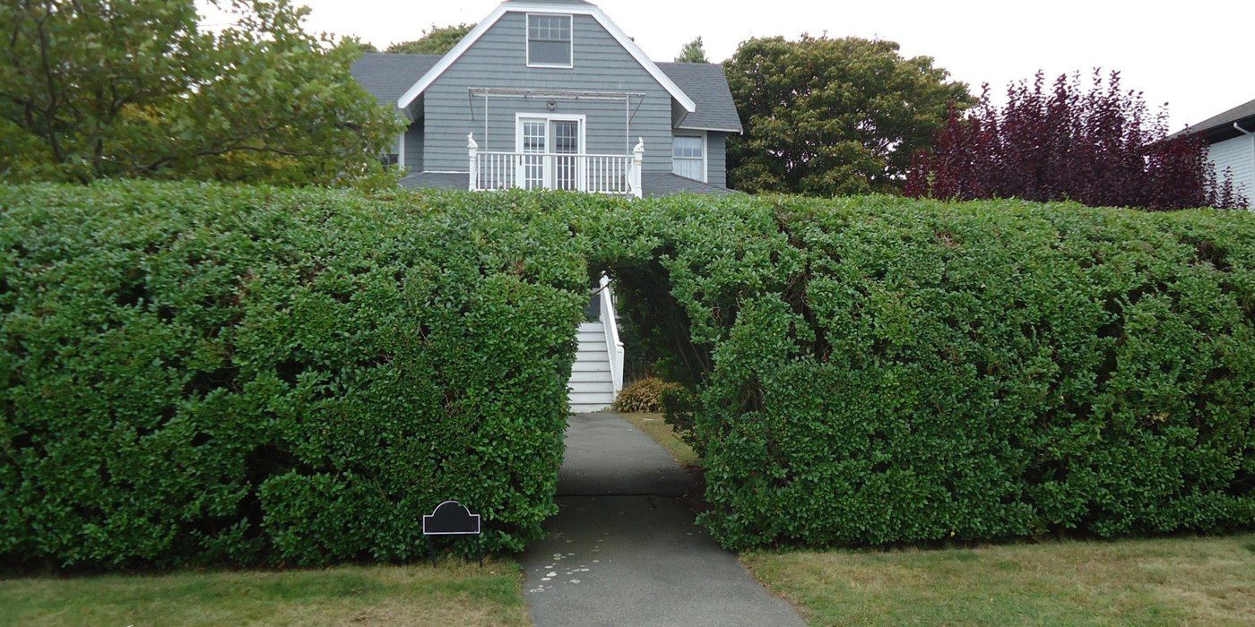 A two-story house with a tall layer of shrubs around the perimeter