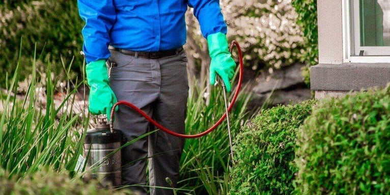A pest control operator spraying chemicals in the landscaping of a home to keep bugs away.