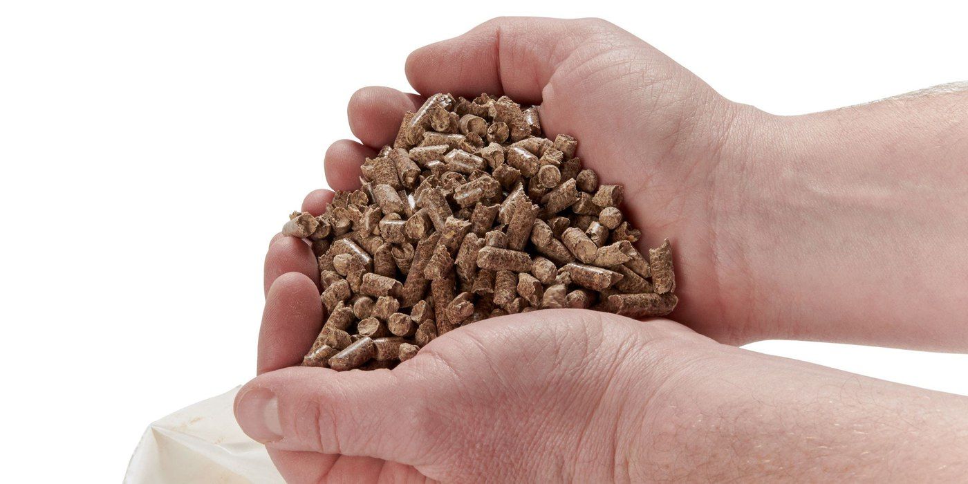 Two cupped hands holding a pile of wood pellets against a white background
