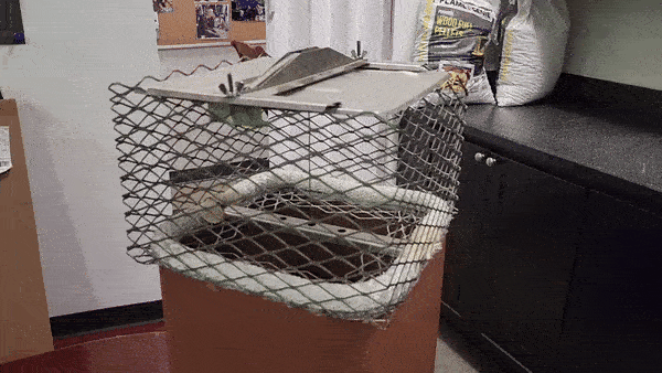 A GIF of a Draft King chimney damper closing over a fiberglass gasket and flue tile.