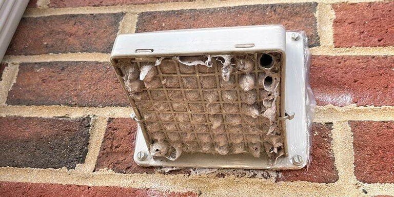 Dryer Vent Fires: The Summer Fire Hazard You Didn’t Know About