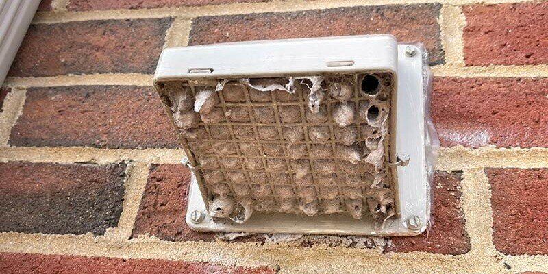 A dryer vent cover with a waffle-style grate covering it. The grate is brimming with dryer lent, virtually clogging the termination point.