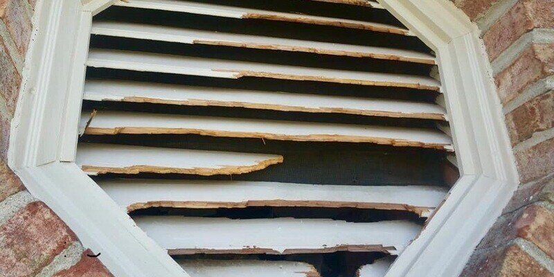 A close-up of a gable end vent that's been badly damaged by nuisance wildife.