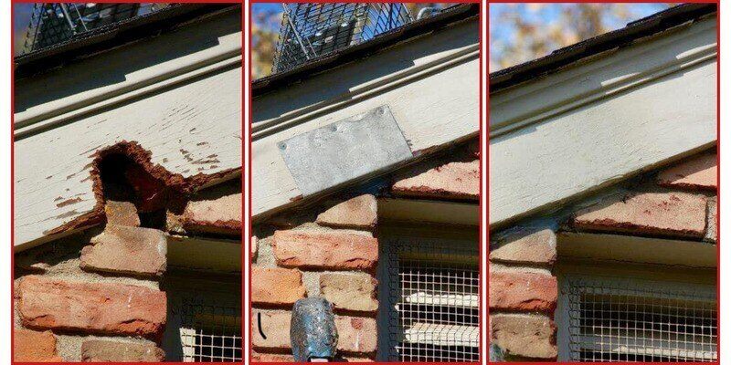 Three panels showing the gradual repair process of rat chewing damage to a facia. The left panel shows the hole; the middle panel shows a piece of aluminum installed over the hole, and the right panel shows the finished, painted facia.