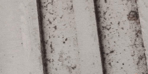 A GIF of a SpinAway rotary cleaning brush scrubbing dirt and debris off of wood siding.
