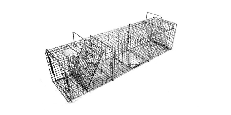 A two-way, cage-style trap for nuisance wildlife. The cage is displayed against a white background.
