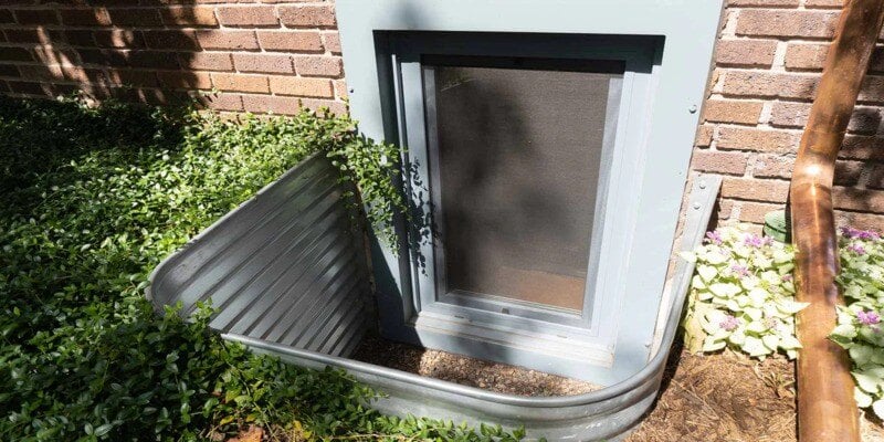 The window well of a home. There is foliage around the well, and the well sits in front of a window with a screen on it.