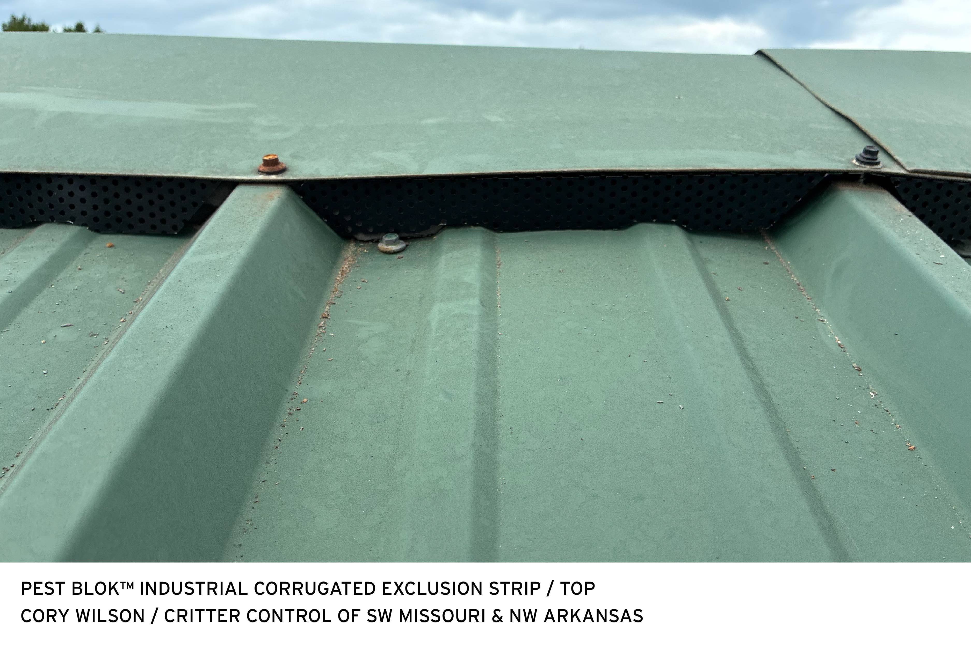 Industrial Corrugated Exclusion Strip Cory Wilson Bottom 1-1