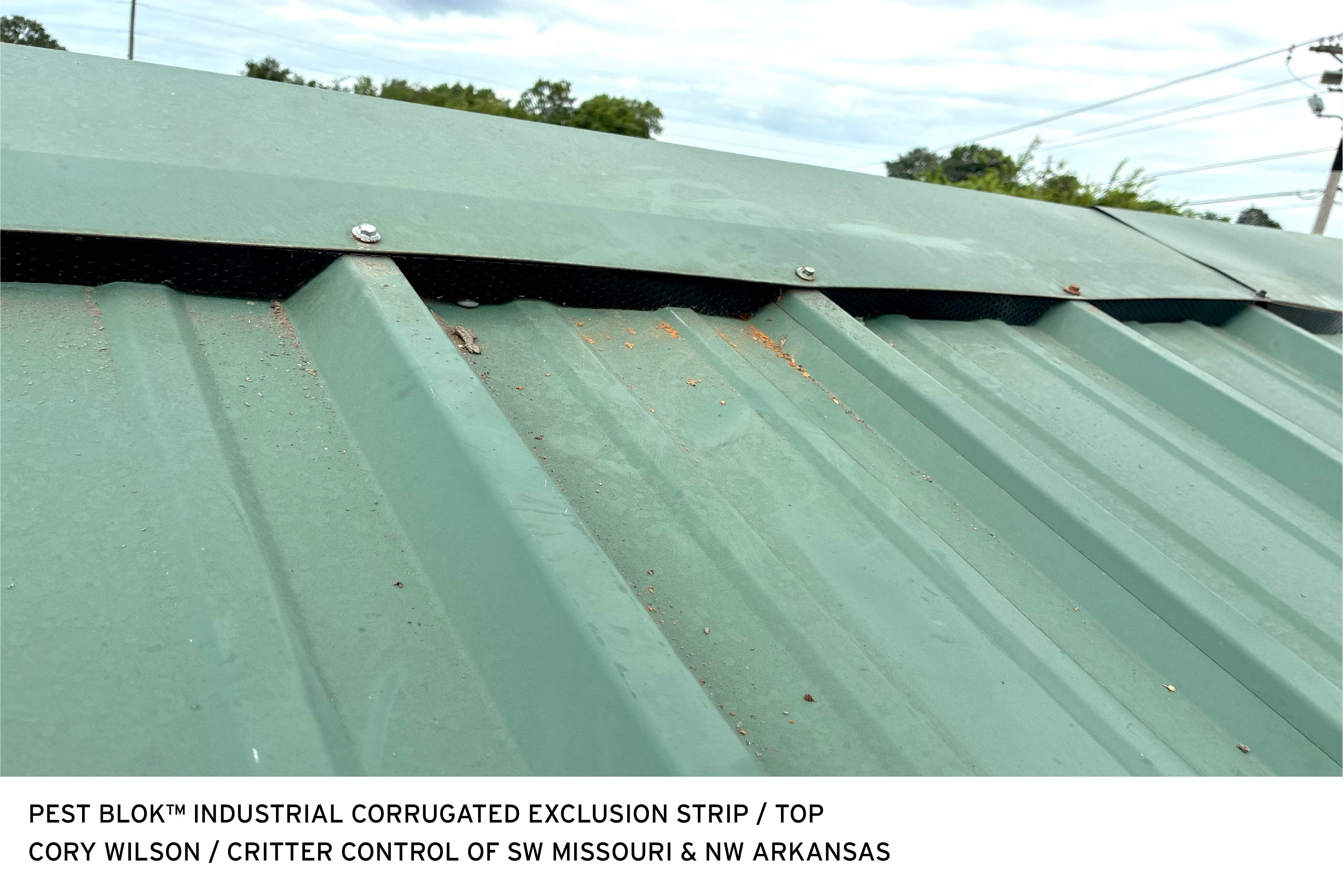 Industrial Corrugated Exclusion Strip Cory Wilson Top 1