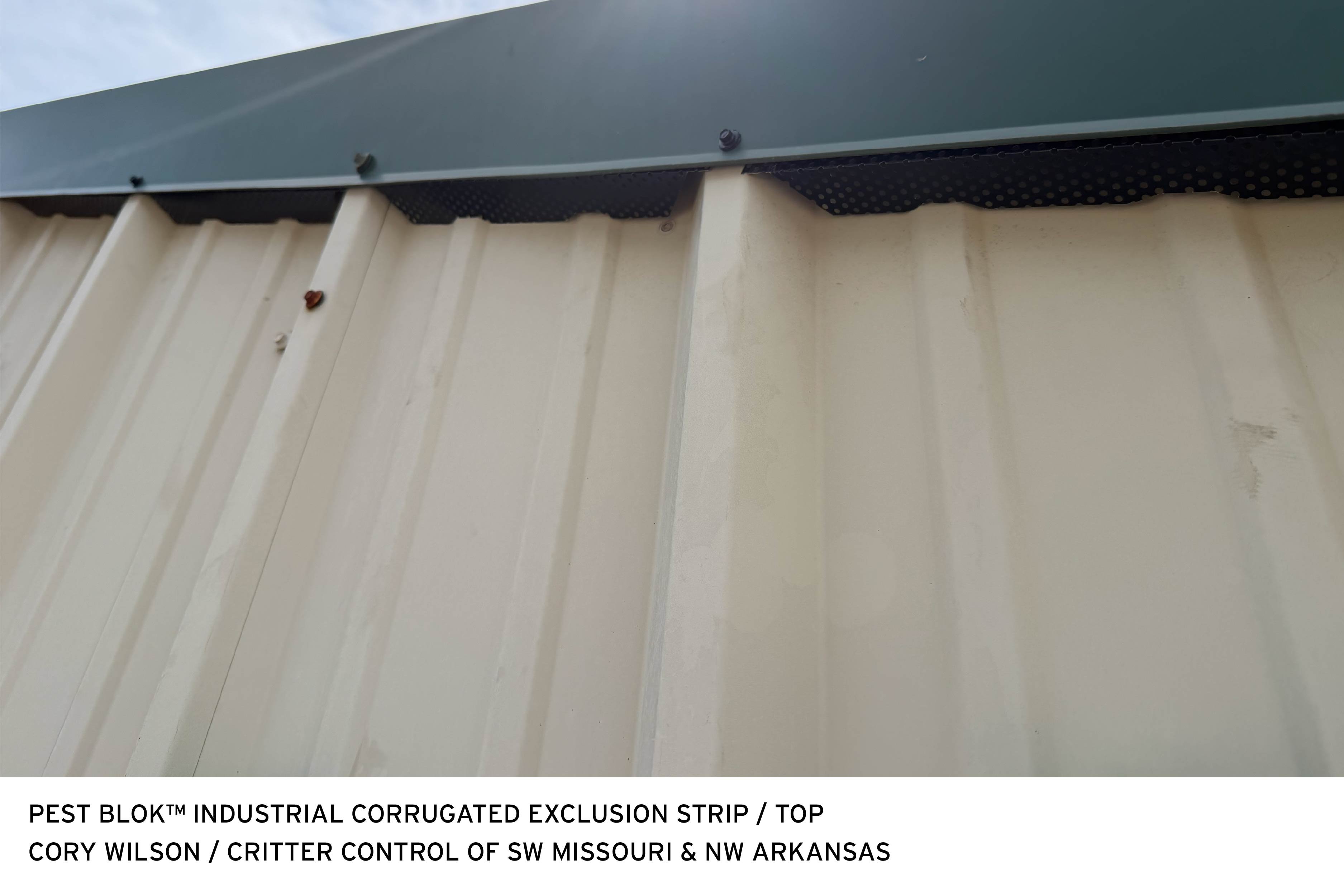 Industrial Corrugated Exclusion Strip Cory Wilson Top 2