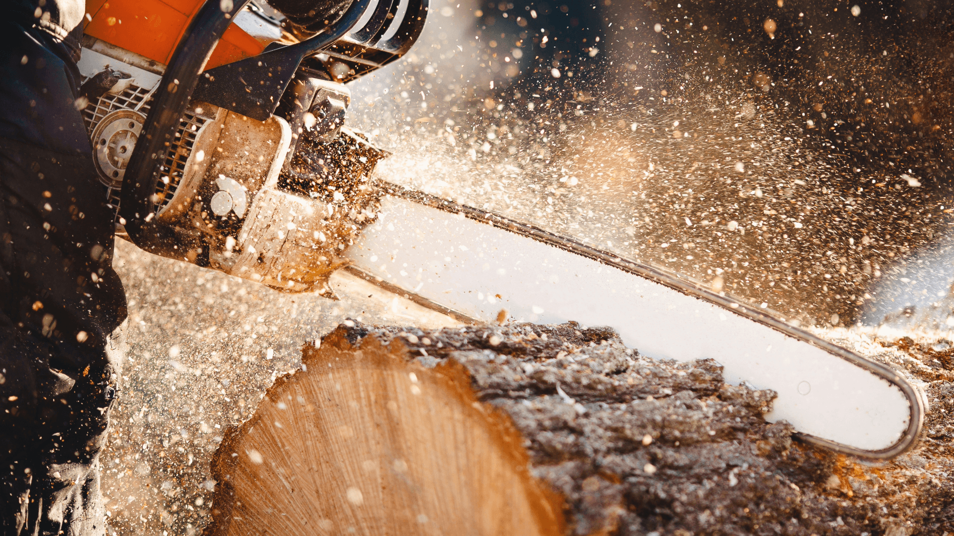 Chainsaw-Zero-Gravity