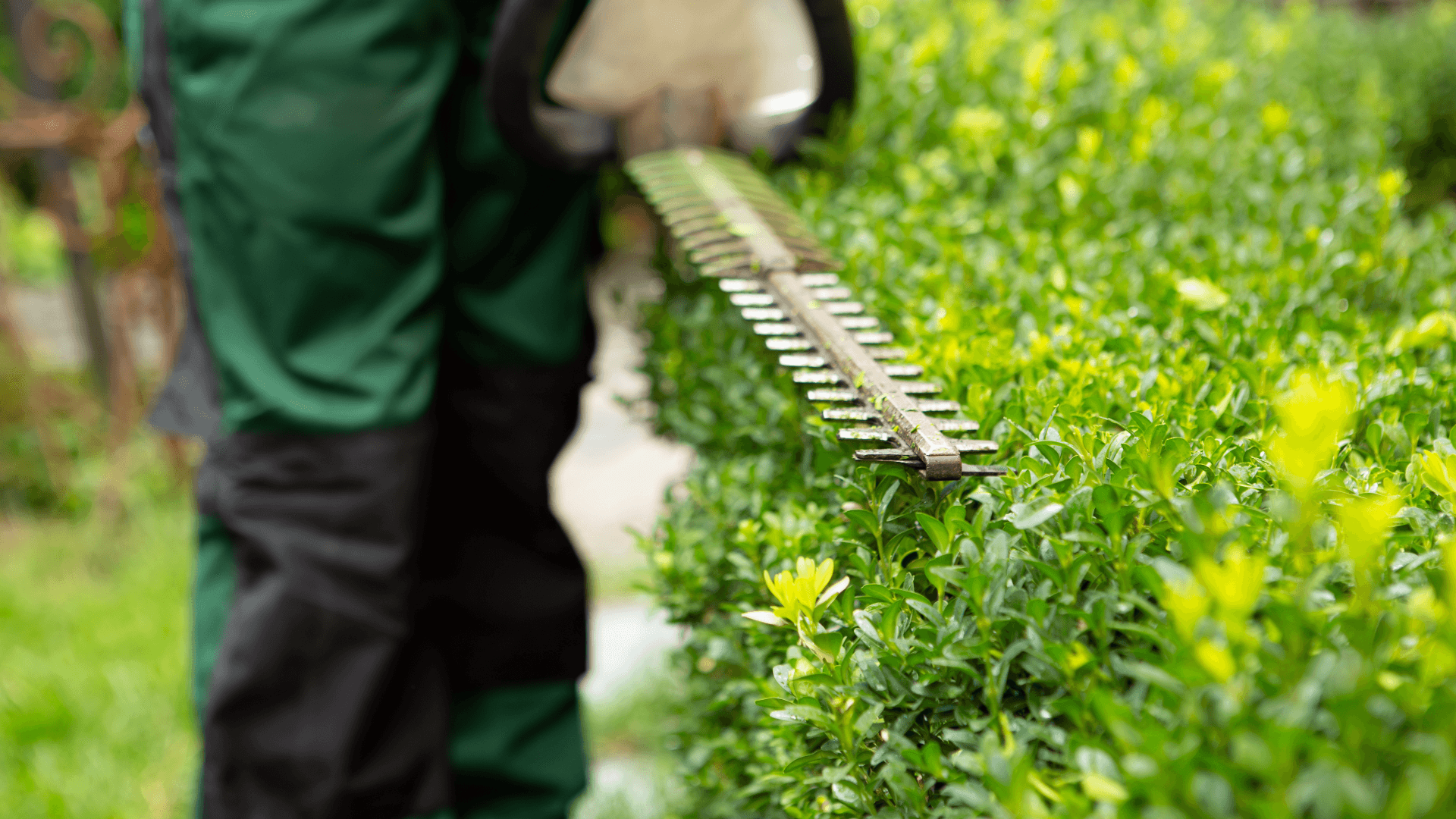Hedge-trimmer-Zero-Gravity