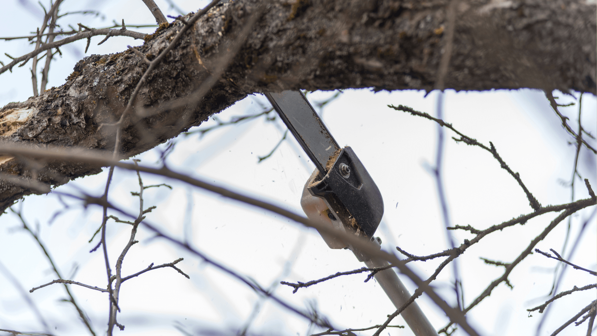 Pole-saw-Zero-Gravity