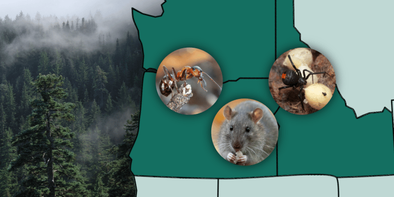 Pests and Wildlife in the PNW