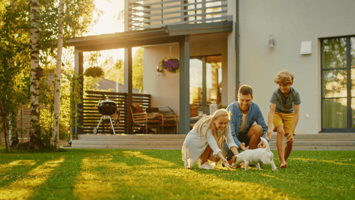 Summer Backyard Hazards Worth Checking
