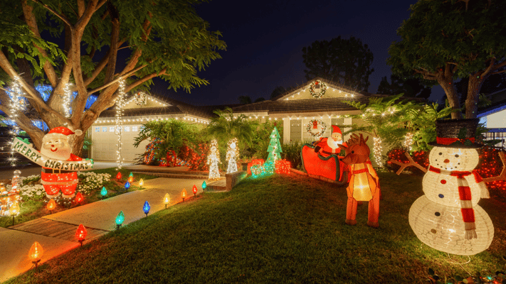 The Festive Way Pest & Wildlife Pros Bridge the Winter Lull